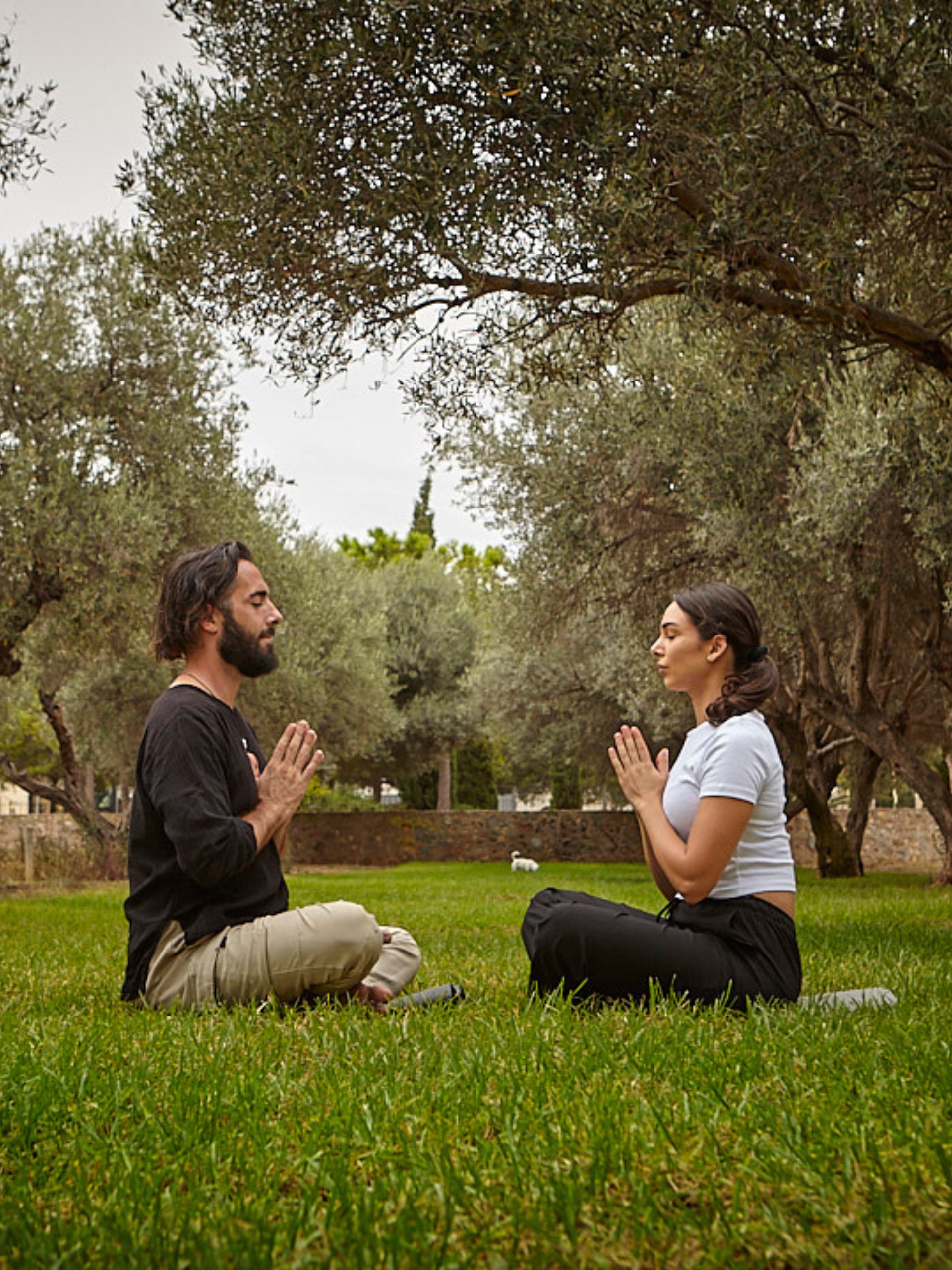 "classes yoga and meditation mallorca by antonio bellomo"